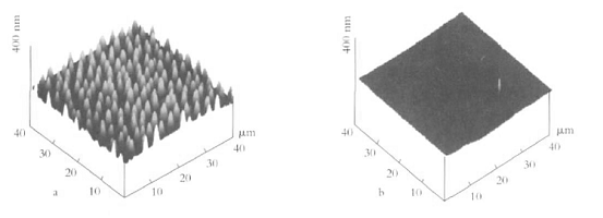 �D1ԭλ�ۺ�PDMS���۰����������AFM��ò�D