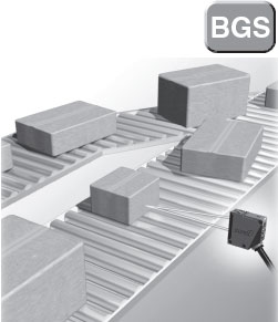 BGS�������m��������r