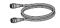 �Ρ���