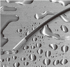 Сֱ�����߮��|(zh��)�����C(j��)�^